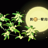 奧邦|遙望月將圓，顧家正當(dāng)時