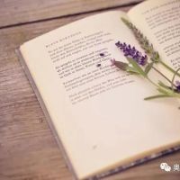 相約夏季，在奧邦邂逅書香